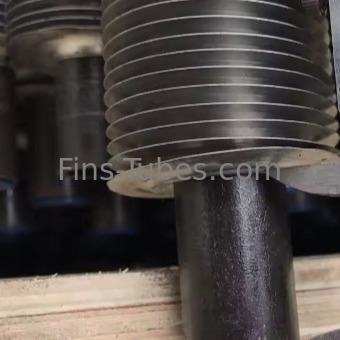 Mua DELLOK SZLH320 Ống đúc đúc đúc cho gà vịt ngỗng và chim online manufacture