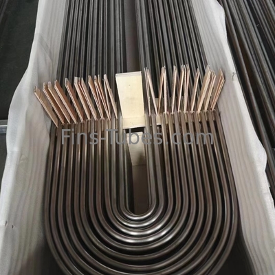 Mua DELLOK SeamlessTreated U Bend Tube Bundle Heat Exchanger A179 Tubing online manufacture