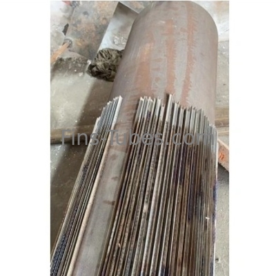 DELLOK ASTM A106 Bụi có vây dọc thép không may