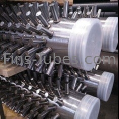 TP316 Bụi đệm